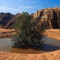 Basin, Snow Canyon State Park, Utah